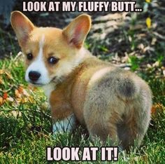 61f5ffb11cc6a60b3f281ec01528e6e1