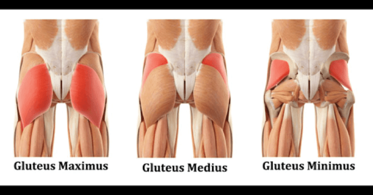 glute-muscle-stretches
